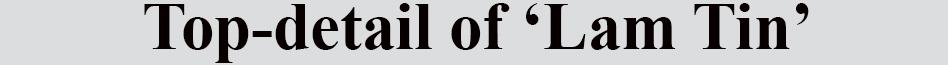Text