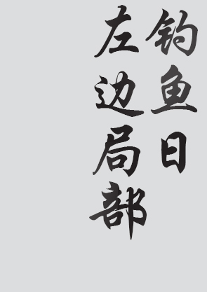 Text