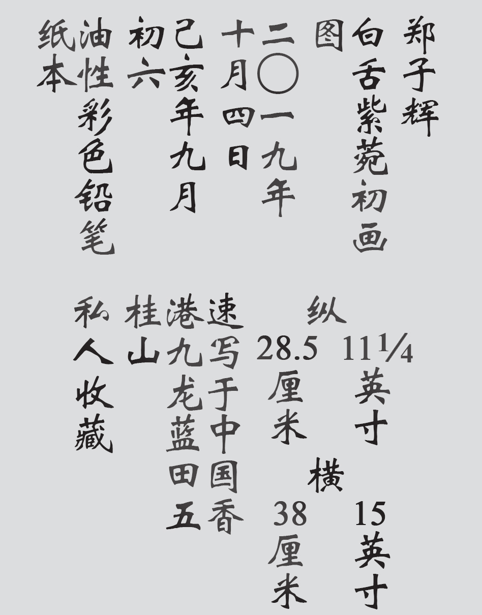 Text