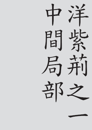 Text