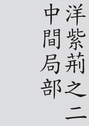 Text