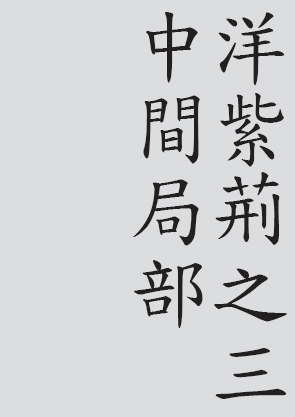 Text