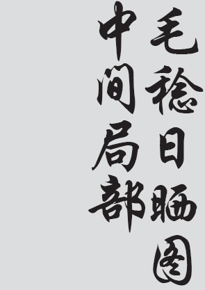 Text