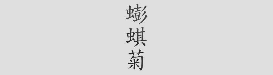 Text