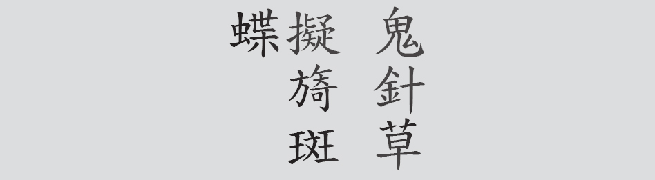 Text