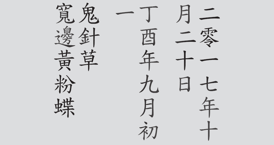 Text