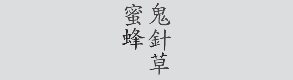 Text