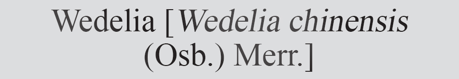 Text