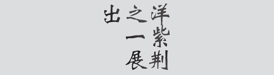 Text