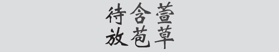 Text