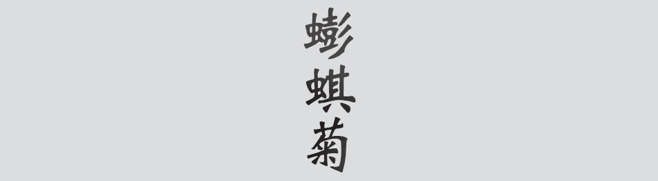 Text