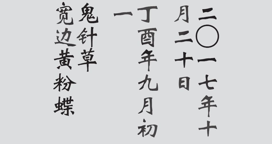 Text