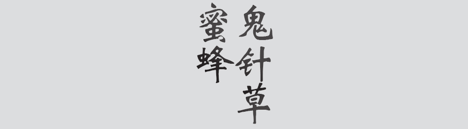 Text