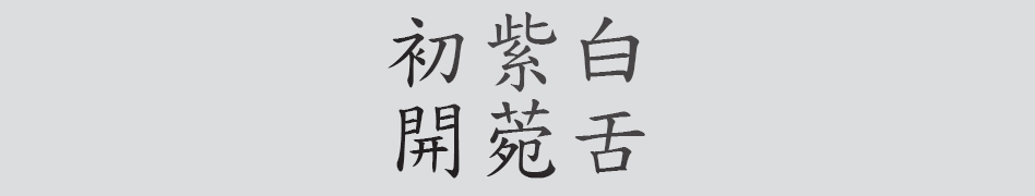 Text