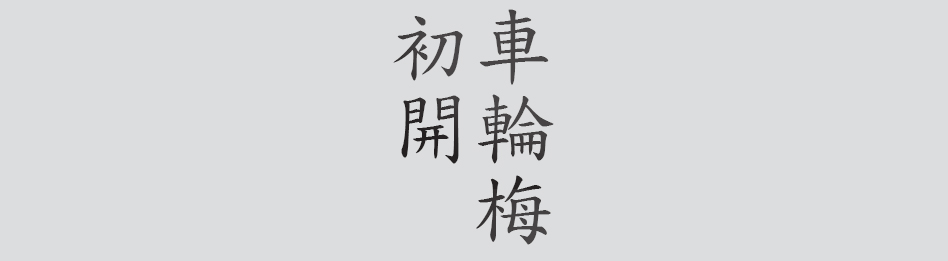 Text