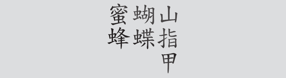 Text