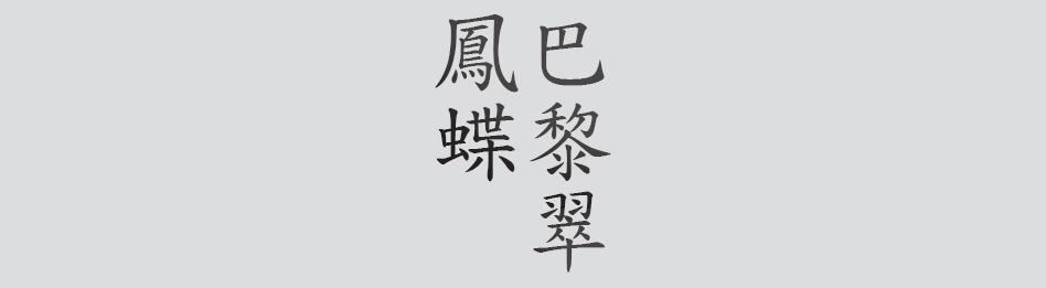 Text