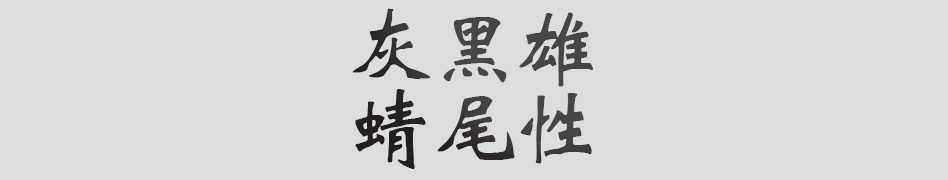Text