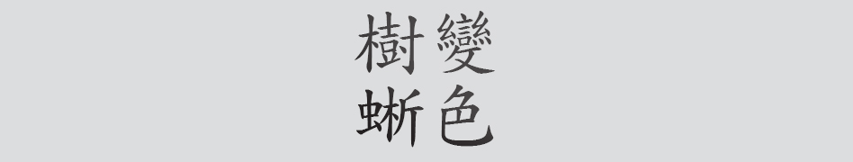 Text