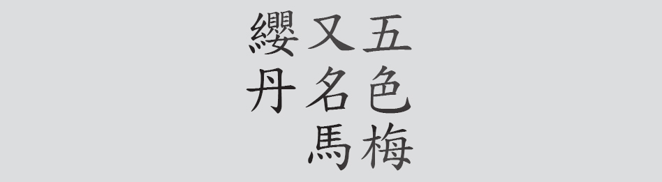 Text