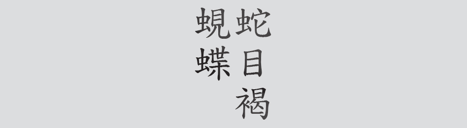 Text