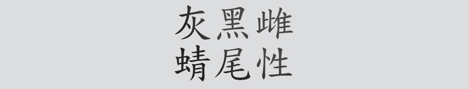 Text