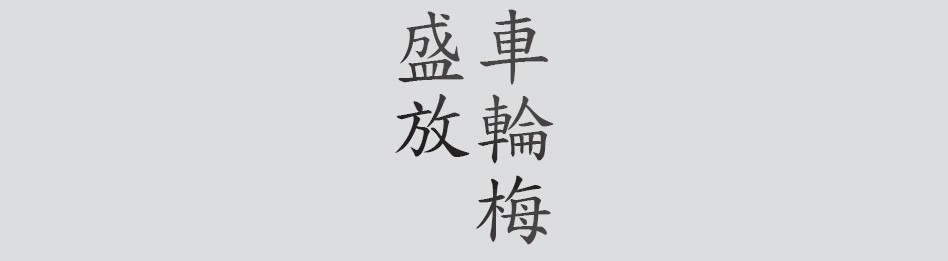 Text