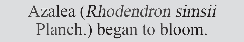 Text