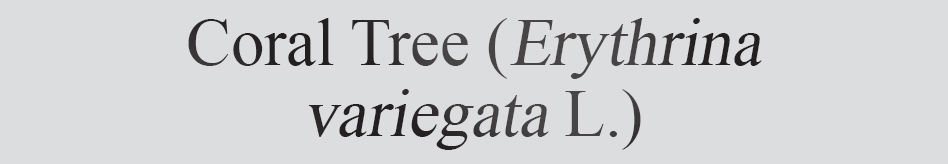 Text