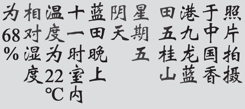 Text