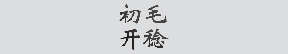 Text