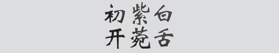 Text