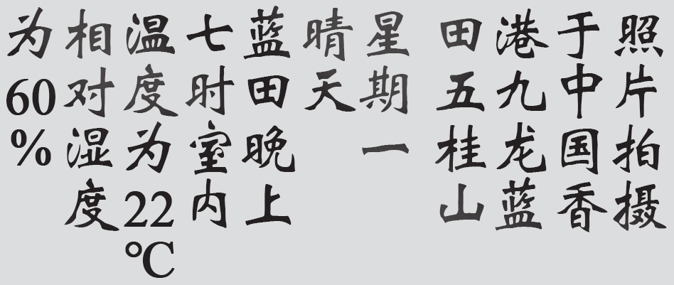 Text