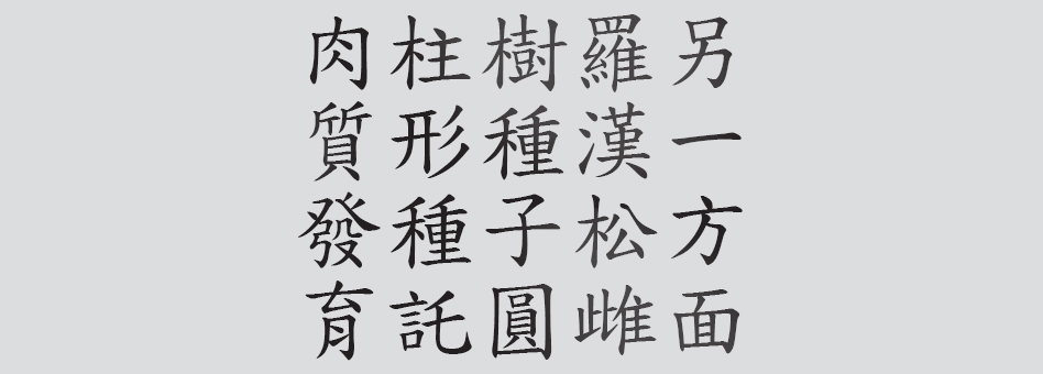 Text