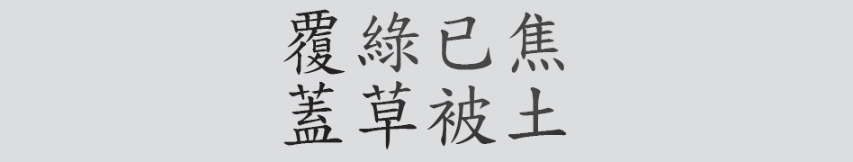 Text