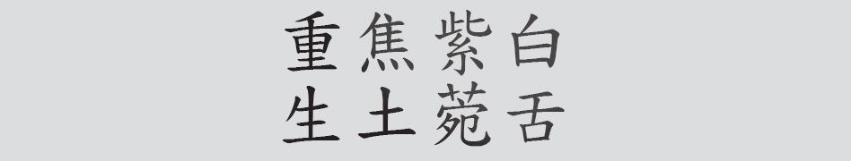 Text