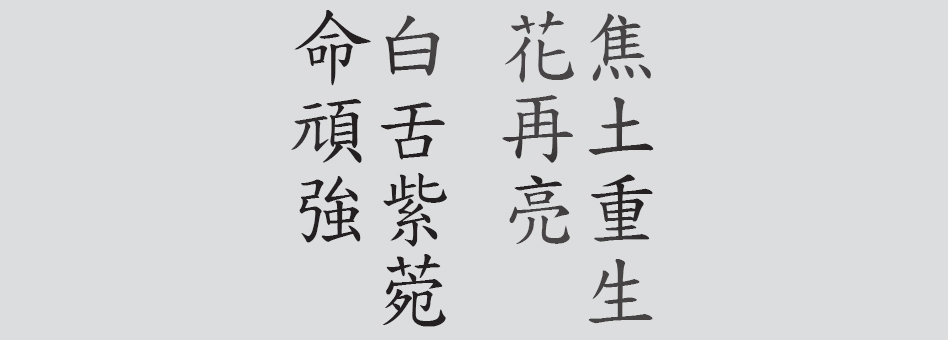 Text