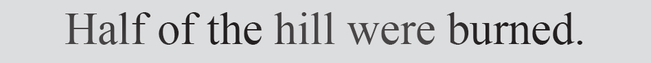 Text