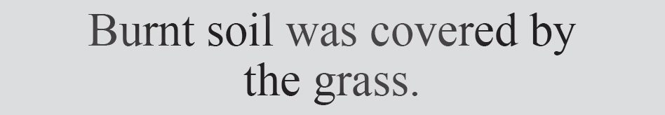 Text