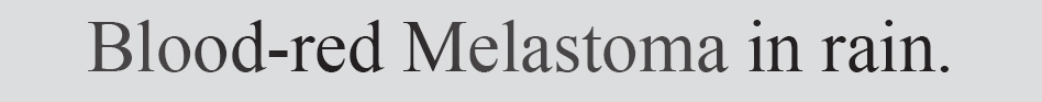 Text