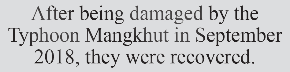 Text