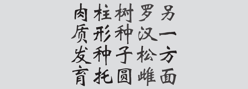 Text