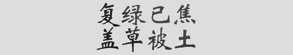 Text