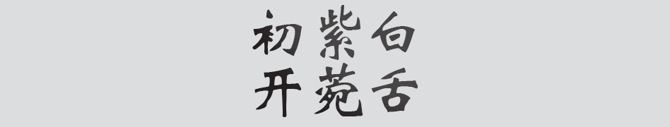 Text