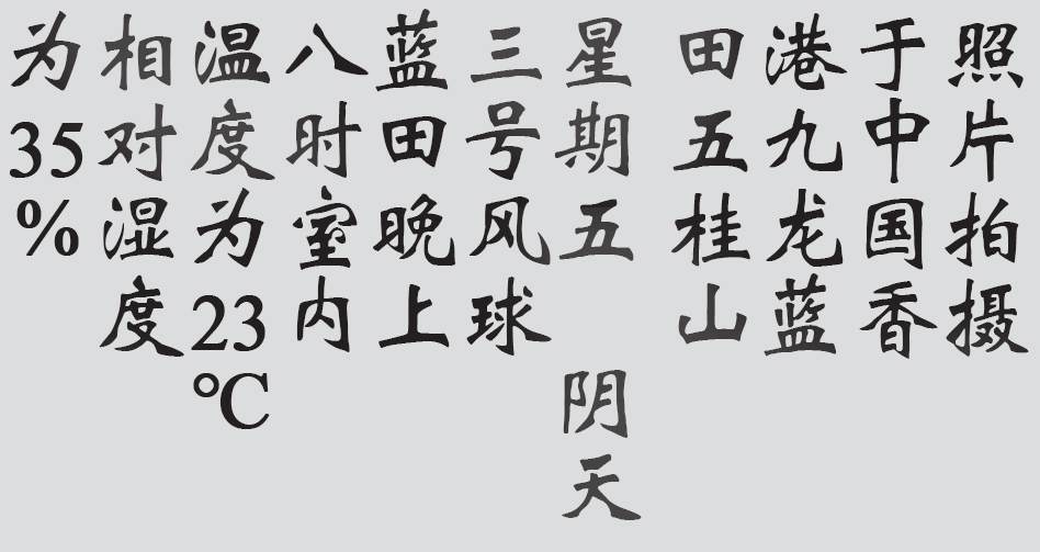 Text