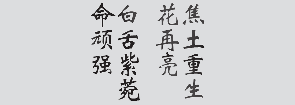 Text