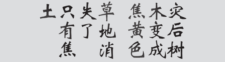Text