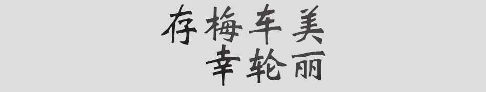 Text
