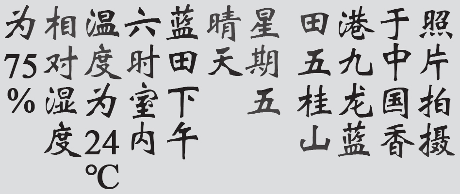 Text