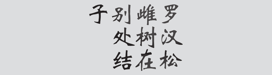 Text